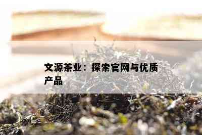 文源茶业：探索官网与优质产品