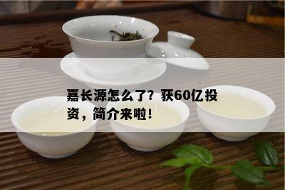 嘉长源怎么了？获60亿投资，简介来啦！