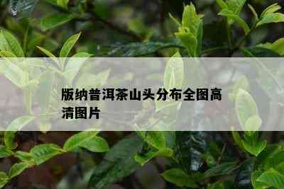 版纳普洱茶山头分布全图高清图片