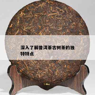 深入了解普洱茶古树茶的独特特点