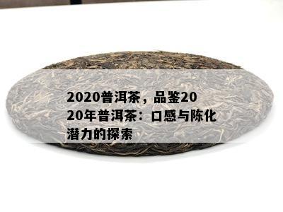 2020普洱茶，品鉴2020年普洱茶：口感与陈化潜力的探索