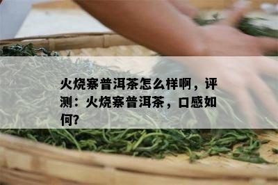 火烧寨普洱茶怎么样啊，评测：火烧寨普洱茶，口感如何？