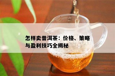 怎样卖普洱茶：价格、策略与盈利技巧全揭秘