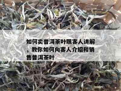 怎样卖普洱茶叶跟客人讲解，教你怎样向客人介绍和销售普洱茶叶