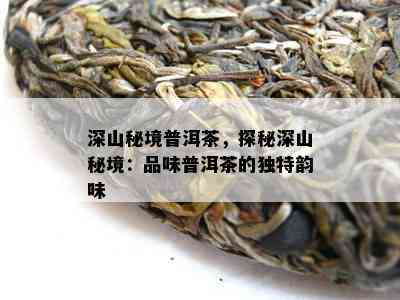 深山秘境普洱茶，探秘深山秘境：品味普洱茶的独特韵味