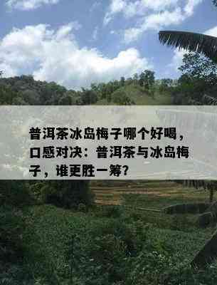 普洱茶冰岛梅子哪个好喝，口感对决：普洱茶与冰岛梅子，谁更胜一筹？