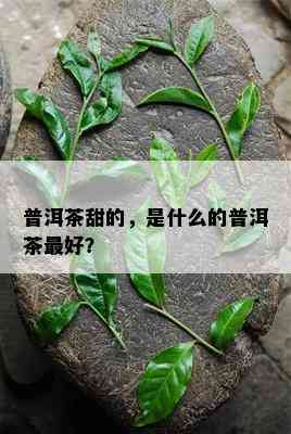 普洱茶甜的，是什么的普洱茶更好？