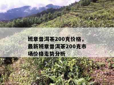 班章普洱茶200克价格，最新班章普洱茶200克市场价格走势分析