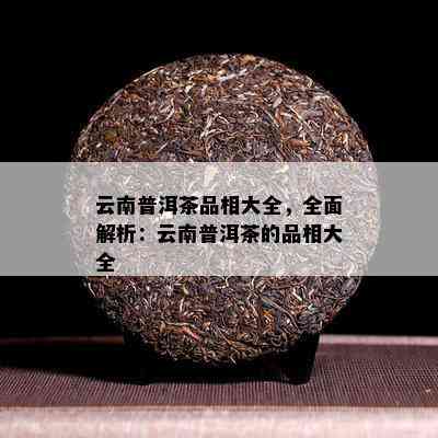 云南普洱茶品相大全，全面解析：云南普洱茶的品相大全