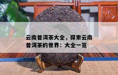 云南普洱茶大全，探索云南普洱茶的世界：大全一览