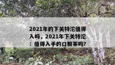 2021年的下关特沱值得入吗，2021年下关特沱：值得入手的口粮茶吗？