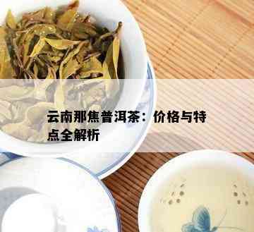 云南那焦普洱茶：价格与特点全解析