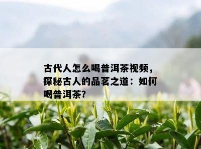 古代人怎么喝普洱茶视频，探秘古人的品茗之道：如何喝普洱茶？