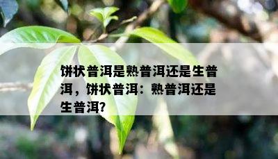 饼状普洱是熟普洱还是生普洱，饼状普洱：熟普洱还是生普洱？