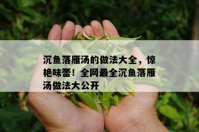 沉落雁汤的做法大全，惊艳味蕾！全网最全沉落雁汤做法大公开