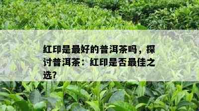 红印是更好的普洱茶吗，探讨普洱茶：红印是不是更佳之选？