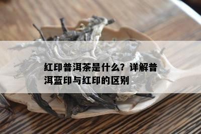 红印普洱茶是什么？详解普洱蓝印与红印的区别