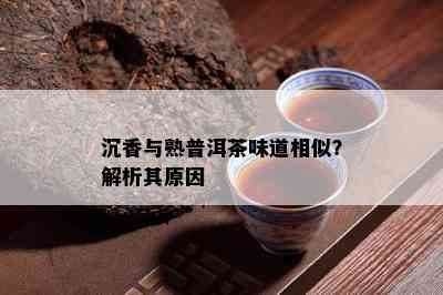 沉香与熟普洱茶味道相似？解析其起因