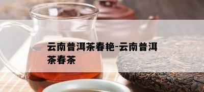 云南普洱茶春艳-云南普洱茶春茶