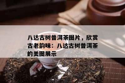 八达古树普洱茶图片，欣赏古老韵味：八达古树普洱茶的美图展示