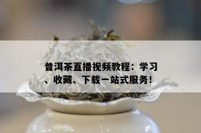 普洱茶直播视频教程：学习、收藏、下载一站式服务！