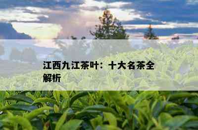 江西九江茶叶：十大名茶全解析