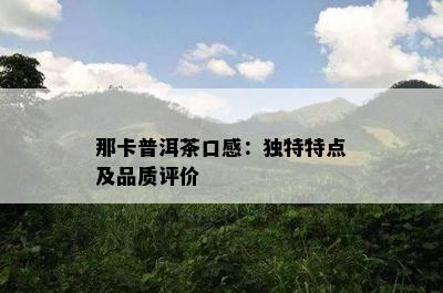 那卡普洱茶口感：特别特点及品质评价