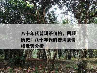 八十年代普洱茶价格，回顾历史：八十年代的普洱茶价格走势分析