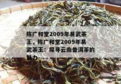 陈广和堂2009年易武茶王，陈广和堂2009年易武茶王：探寻云南普洱茶的魅力