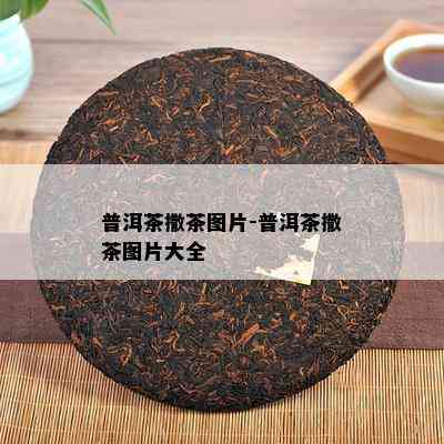 普洱茶撒茶图片-普洱茶撒茶图片大全