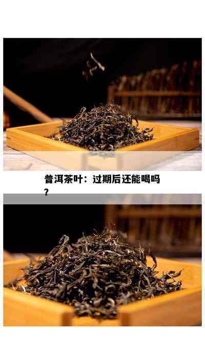 普洱茶叶：过期后还能喝吗？