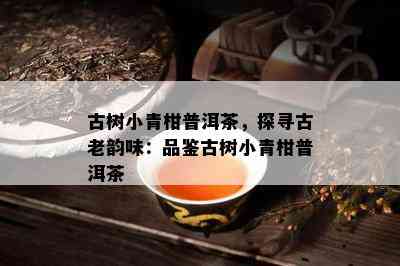 古树小青柑普洱茶，探寻古老韵味：品鉴古树小青柑普洱茶