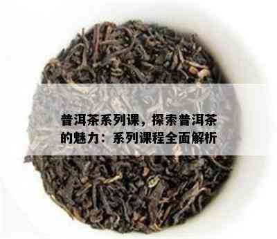 普洱茶系列课，探索普洱茶的魅力：系列课程全面解析