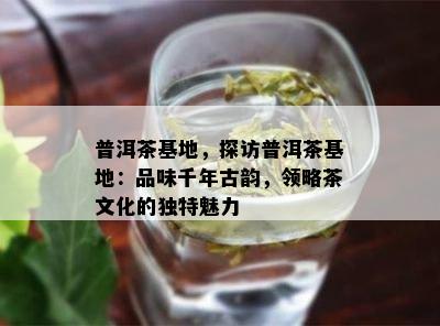 普洱茶基地，探访普洱茶基地：品味千年古韵，领略茶文化的独特魅力