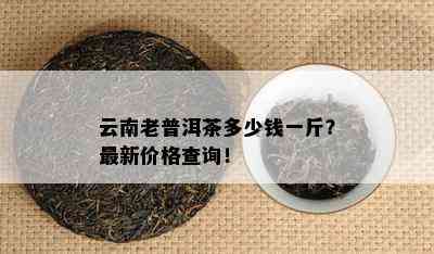 云南老普洱茶多少钱一斤？最新价格查询！