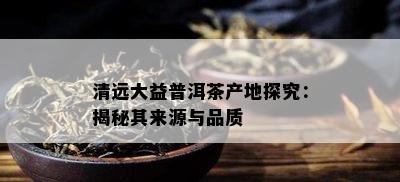 清远大益普洱茶产地探究：揭秘其来源与品质