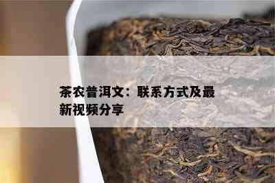 茶农普洱文：联系方式及最新视频分享