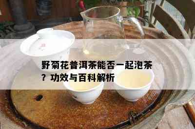 野菊花普洱茶能否一起泡茶？功效与百科解析