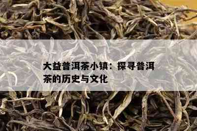 大益普洱茶小镇：探寻普洱茶的历史与文化