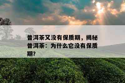 普洱茶又没有保质期，揭秘普洱茶：为什么它没有保质期？