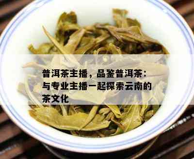 普洱茶主播，品鉴普洱茶：与专业主播一起探索云南的茶文化