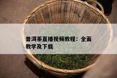 普洱茶直播视频教程：全面教学及下载