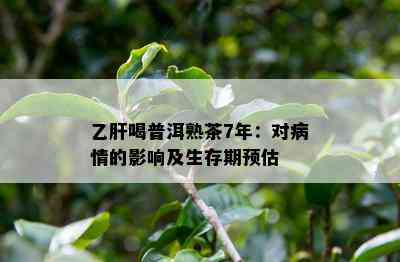 乙肝喝普洱熟茶7年：对病情的作用及生存期预估