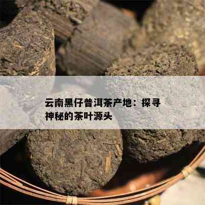 云南黑仔普洱茶产地：探寻神秘的茶叶源头