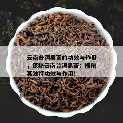 云南普洱黑茶的功效与作用，探秘云南普洱黑茶：揭秘其特别功效与作用！