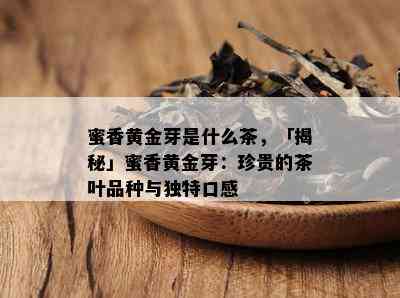 蜜香黄金芽是什么茶，「揭秘」蜜香黄金芽：珍贵的茶叶品种与独特口感