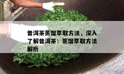 普洱茶蒸馏萃取方法，深入了解普洱茶：蒸馏萃取方法解析