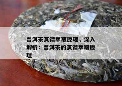 普洱茶蒸馏萃取原理，深入解析：普洱茶的蒸馏萃取原理