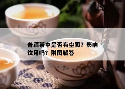 普洱茶中是不是有尘虱？作用饮用吗？附图解答