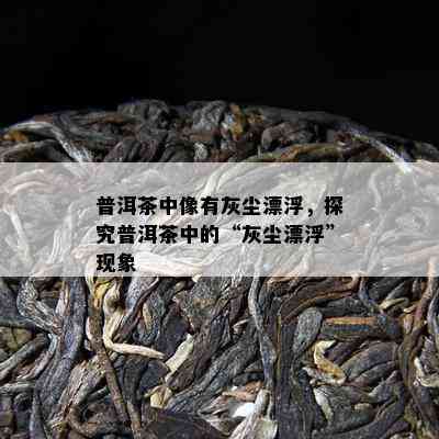 普洱茶中像有灰尘漂浮，探究普洱茶中的“灰尘漂浮”现象